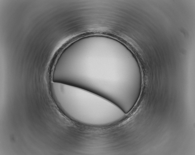 X0000112881022200908211047