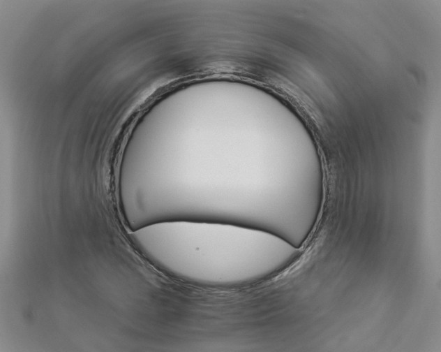 X0000112881023200908211047