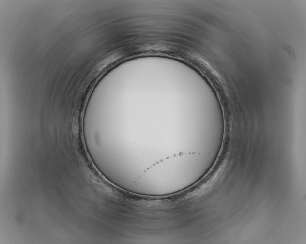X0000112881025200908211047
