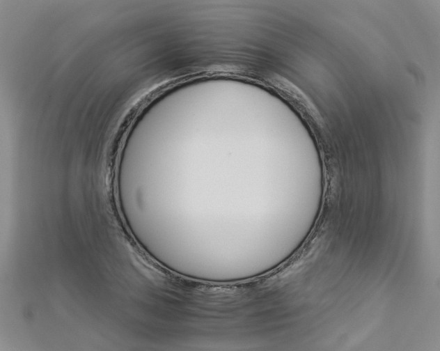 X0000112881027200908211047