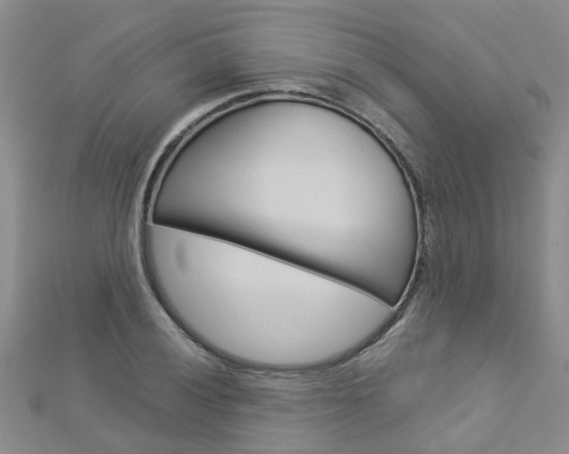 X0000112881028200908211047