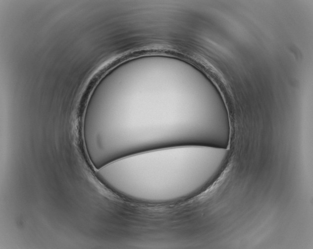 X0000112881029200908211047