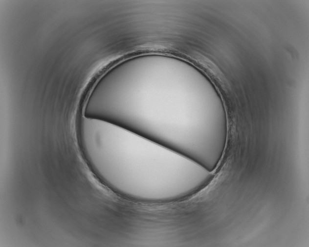 X0000112881030200908211047
