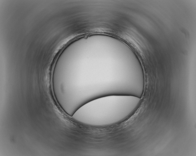 X0000112881031200908211047