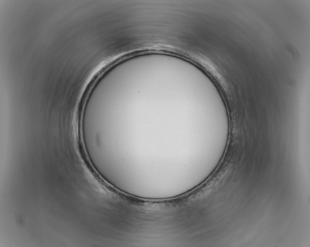 X0000112881032200908211047