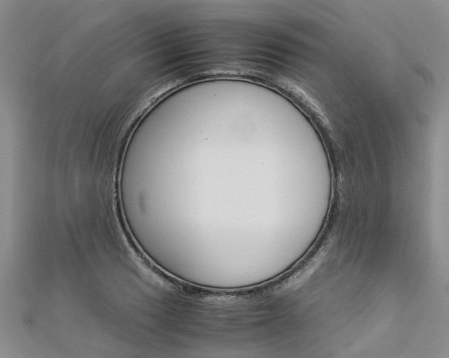 X0000112881033200908211047