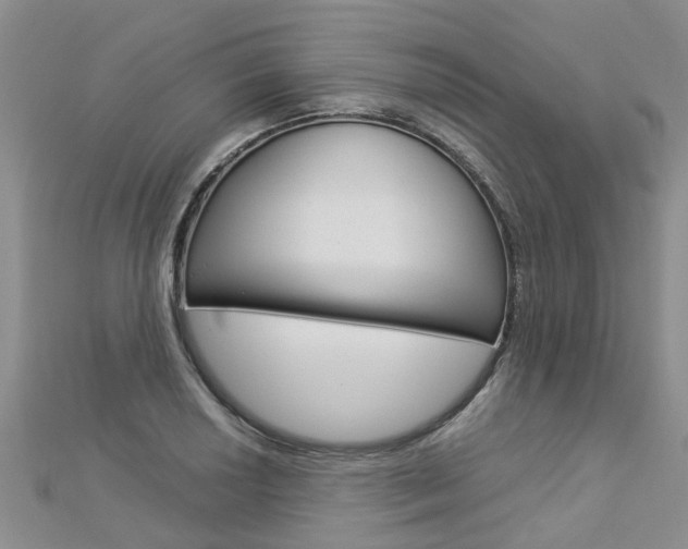 X0000112881034200908211047