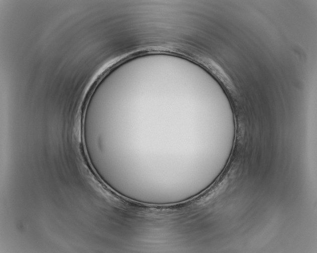 X0000112881036200908211047
