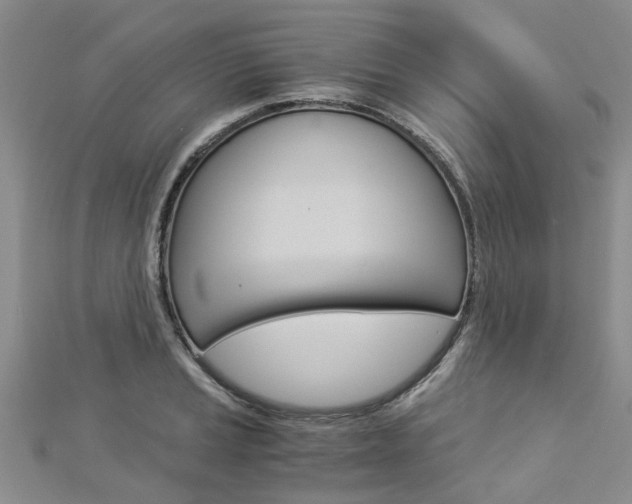 X0000112881037200908211047