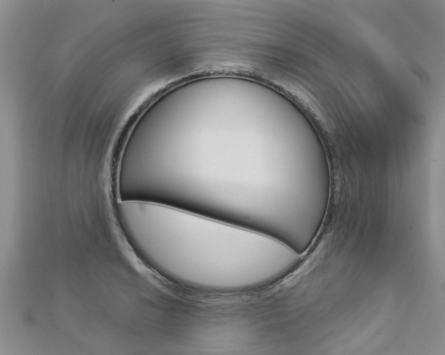 X0000112881038200908211047