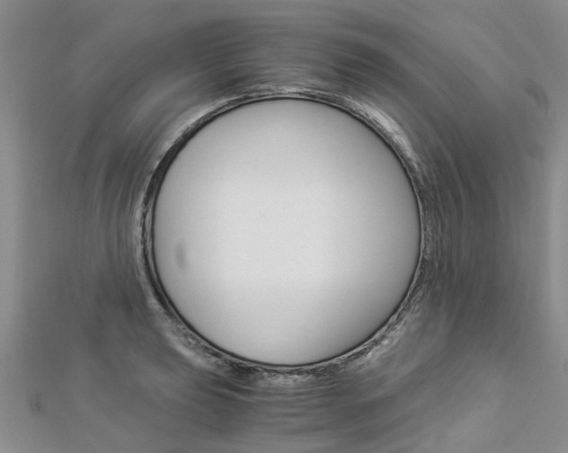 X0000112881039200908211047