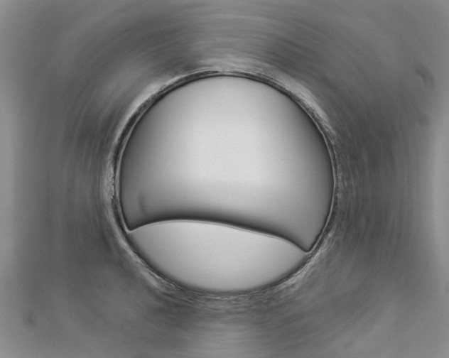 X0000112881040200908211047