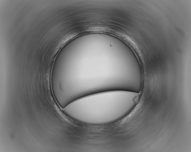 X0000112881041200908211047