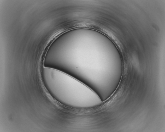 X0000112881042200908211047