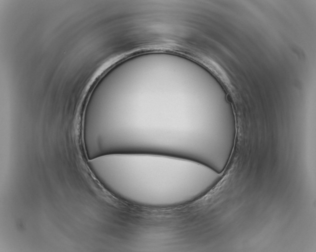 X0000112881044200908211047