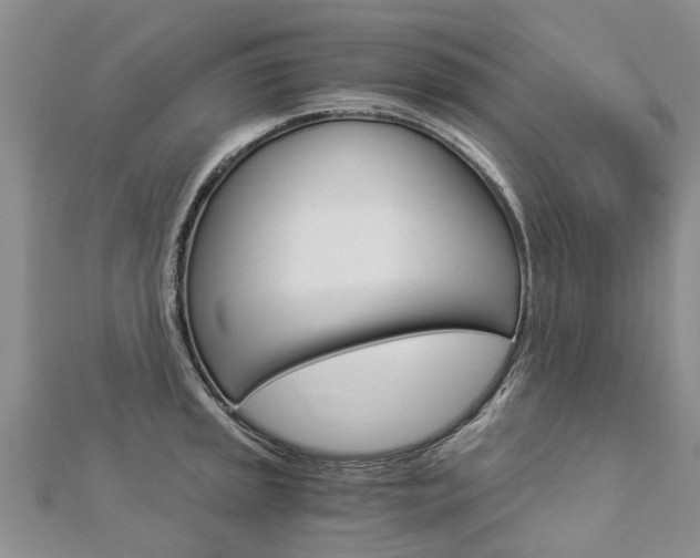 X0000112881045200908211047