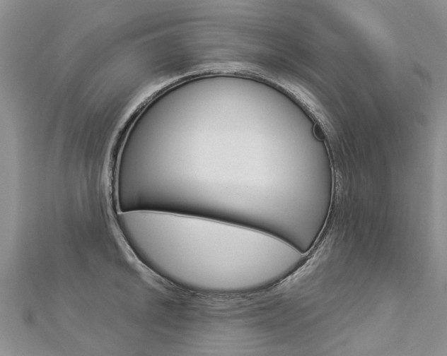 X0000112881046200908211047