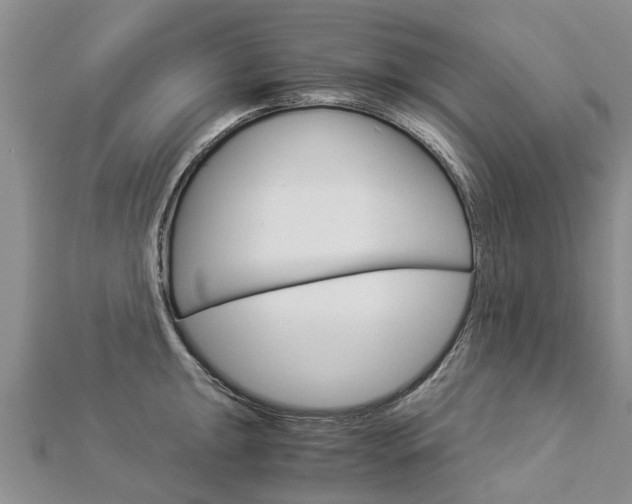 X0000112881047200908211047