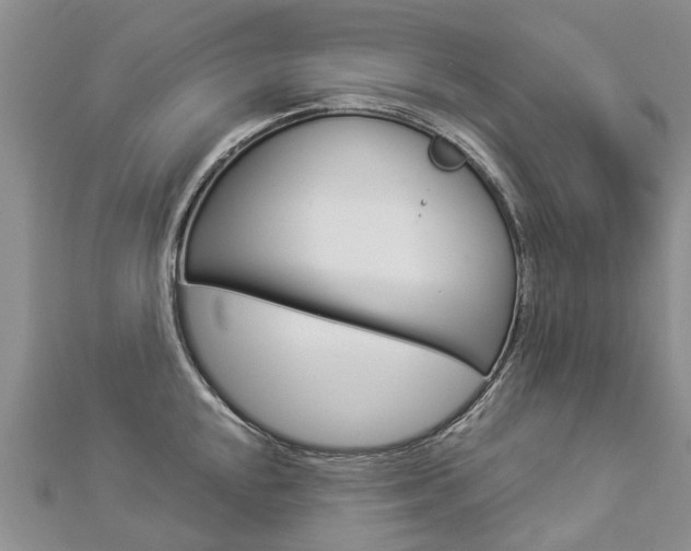 X0000112881048200908211047