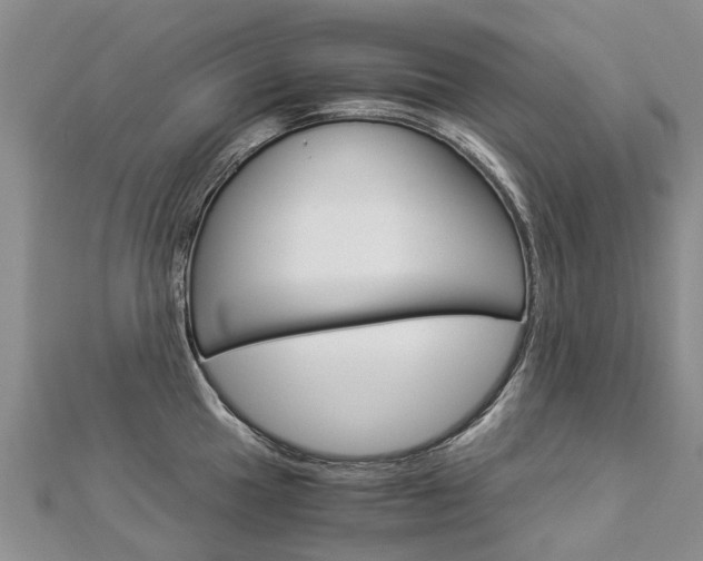 X0000112881049200908211047