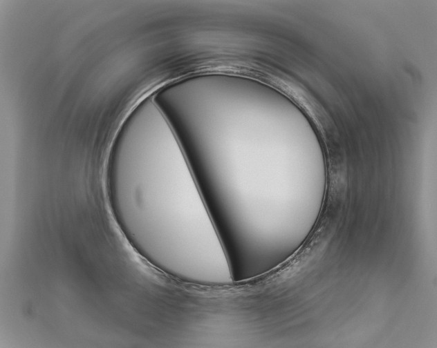 X0000112881050200908211047