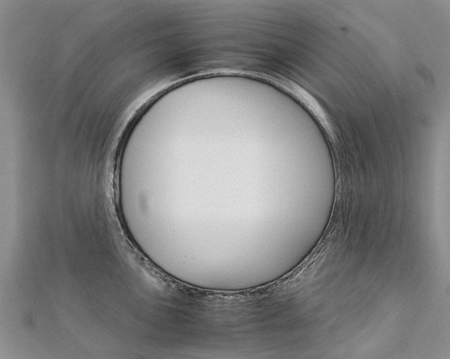 X0000112881051200908211047