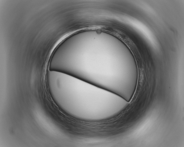 X0000112881052200908211047