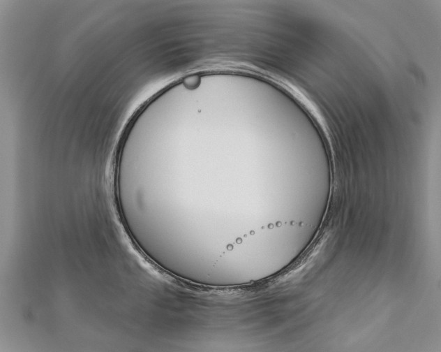 X0000112881053200908211047
