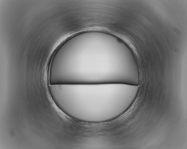 X0000112881054200908211047