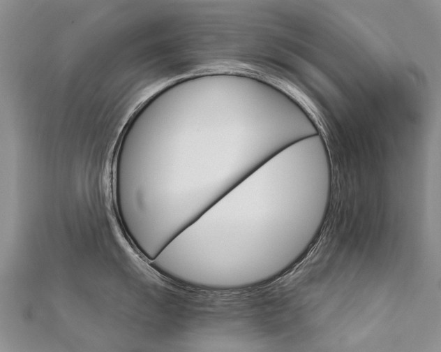 X0000112881055200908211047