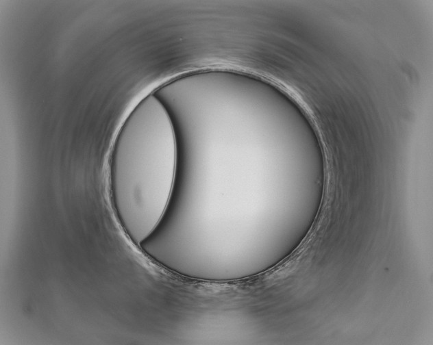 X0000112881056200908211047