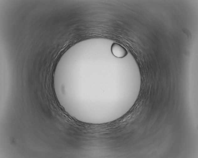 X0000112881057200908211047