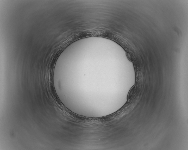 X0000112881058200908211047