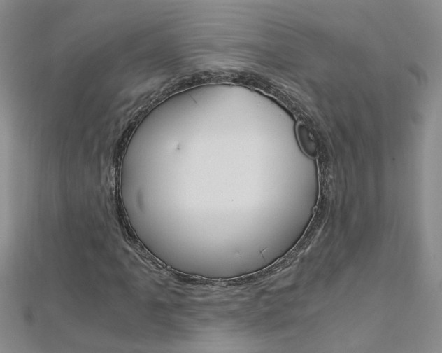 X0000112881061200908211047