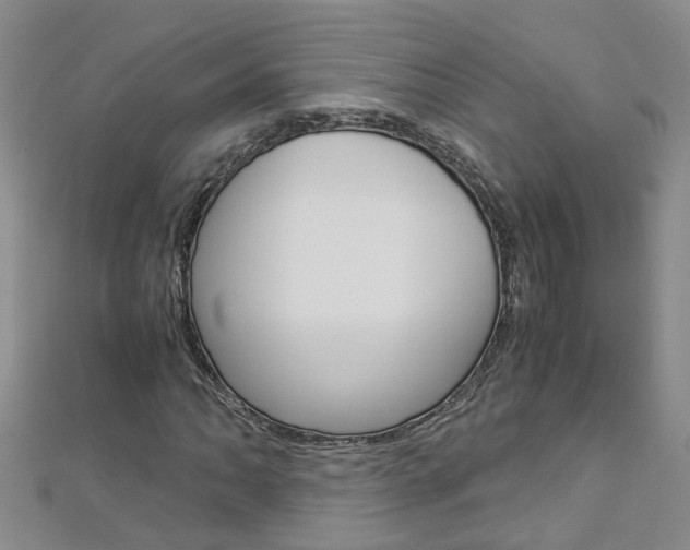 X0000112881062200908211047