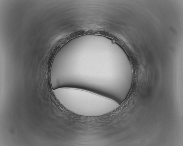 X0000112881063200908211047
