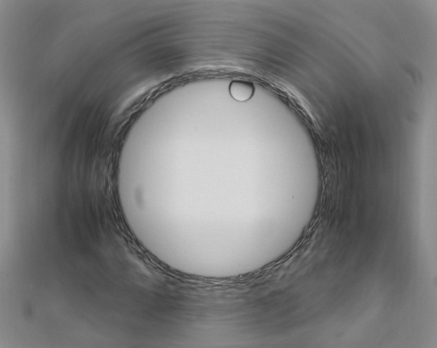 X0000112881064200908211046