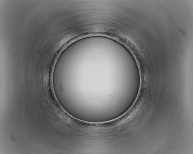 X0000112881065200908211046