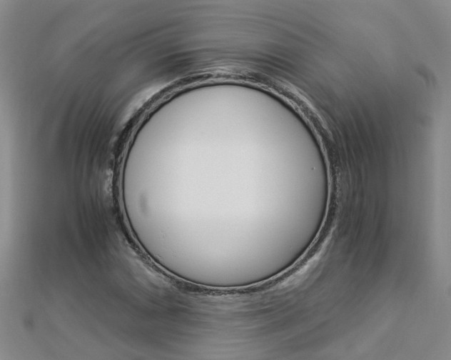 X0000112881066200908211046