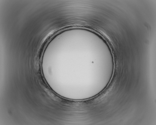 X0000112881067200908211046