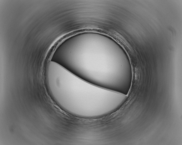 X0000112881068200908211046