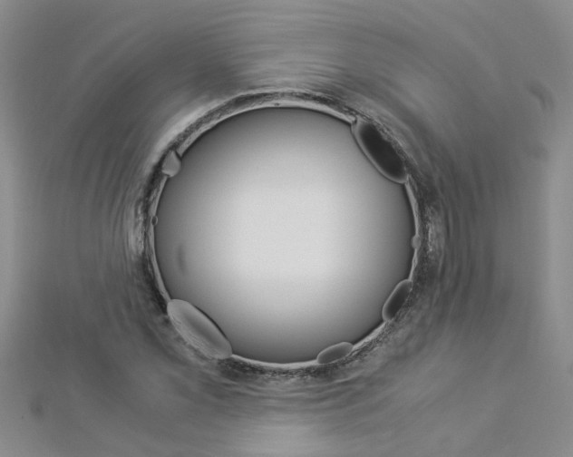 X0000112881069200908211046