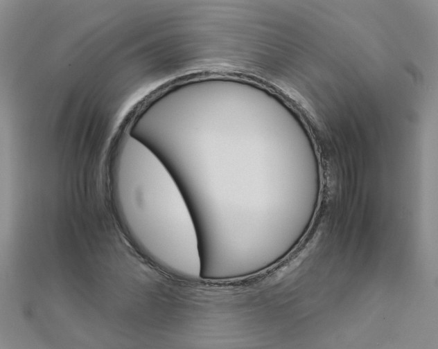 X0000112881070200908211046