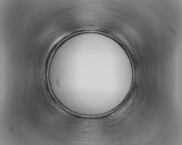 X0000112881071200908211046