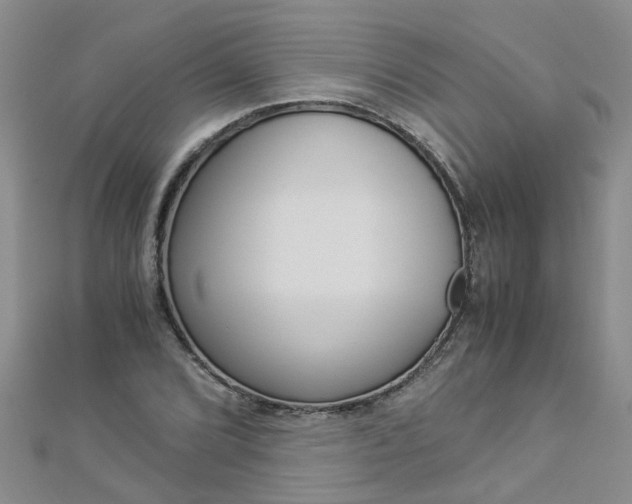 X0000112881072200908211046