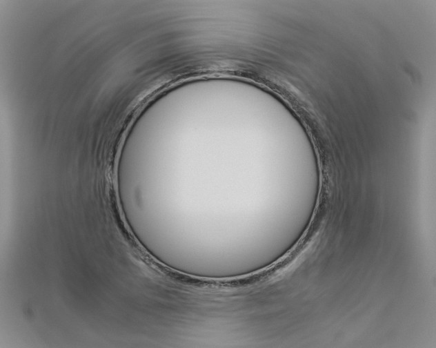 X0000112881073200908211046