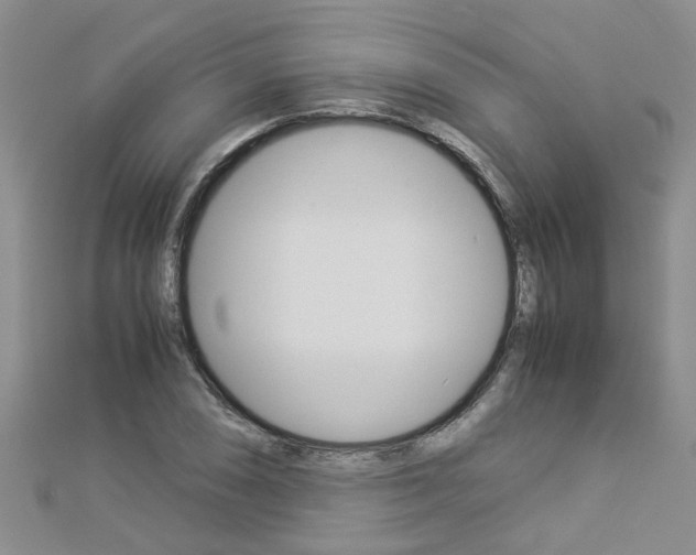 X0000112881074200908211046