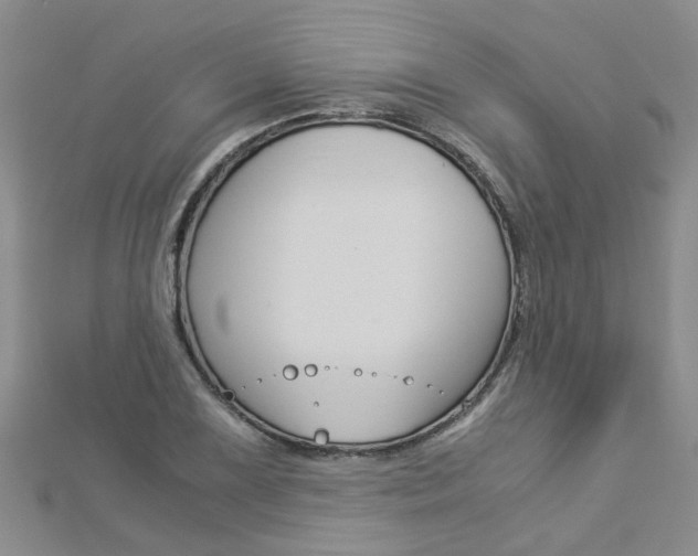 X0000112881075200908211046