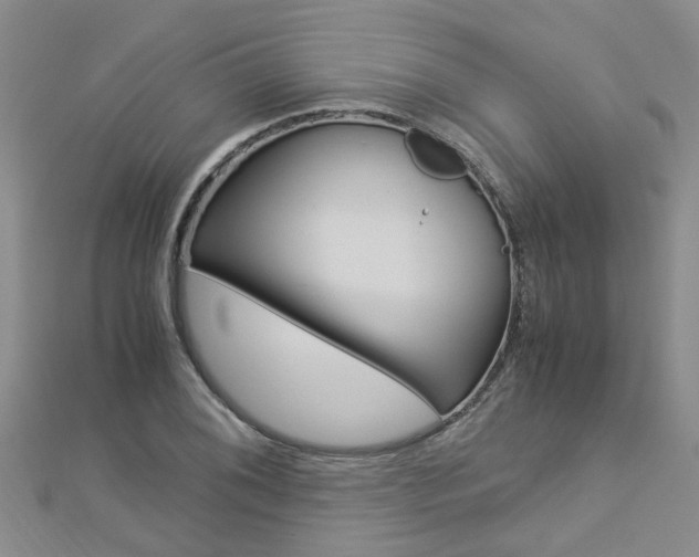 X0000112881076200908211046