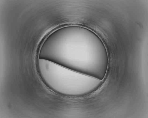 X0000112881077200908211046